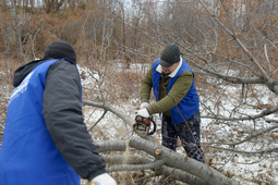 Добровольцы ООО "Газпром трансгаз Саратов" благоустраивают территорию сада "Русский лес"