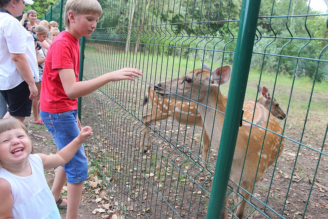 Мини-зоопарк по соседству с СП "Нива"
