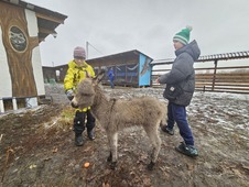 Экопарк "Олений Остров"