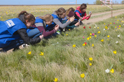 Волонтеры Экологической станции за изучением уникального вида тюльпана