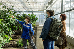 Для специалистов Саратовского областного центра экологии, краеведения и туризма была организована экскурсия в лимонарий Приволжского ЛПУМГ