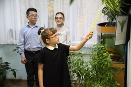 Дети рассказали о том, что знают о растениях