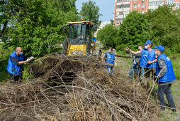 Участники акции собрали и вывезли сухие и сорные деревья